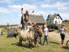 machsurfing_281