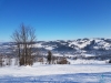 20170116_111523